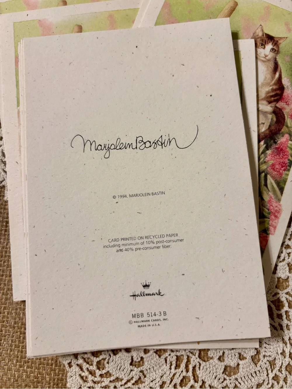 Cat artwork - Marjolein Bastin “A Place to Reflect” Hallmark cards blank (8)